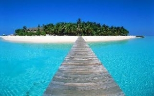 Каковы цели лидера? Каковы цели лидера?