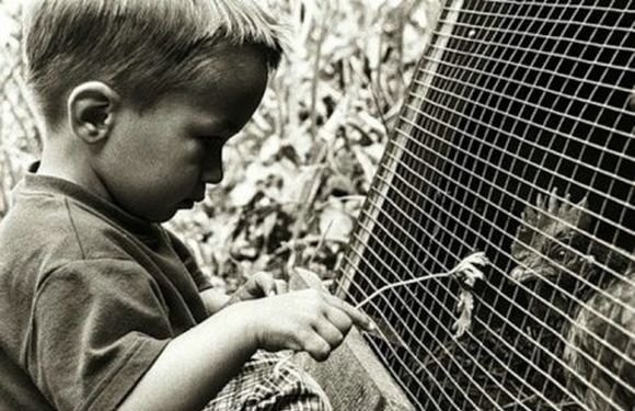 Миллионер в 8 лет
